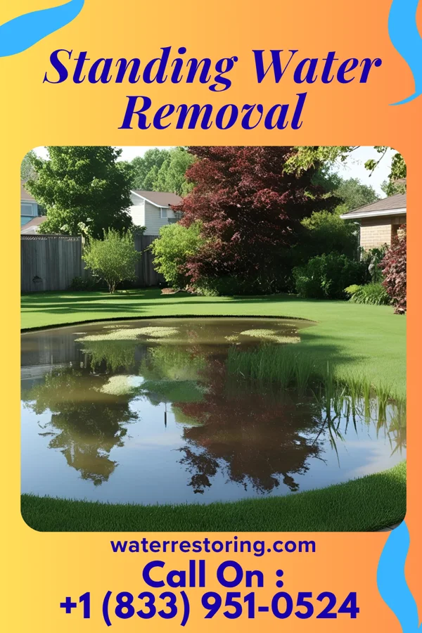 Standing Water Removal in Abilene, TX
